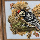 Vintage Framed Woodpecker Needlepoint Bird Wildlife Wall Art Decor