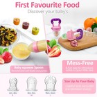 Baby Fruit Feeder Pacifier - 6 Pack   2 Infant Food Feeder Pacifier   2 Baby    