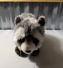 Webkinz Signature Raccoon Plush Ganz 17  Realistic Wks1004 No Code 