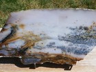 Tcr Snake River Agate jasper lapidary Polished Slab 393 Grams