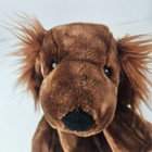 Animal Alley 2001 Puppy Dog Plush Chocolate Dark Brown Realistic Stuffed Animal