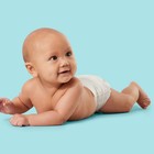 Disposable Diapers - Size 1 - 168ct - Up up
