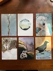Wild Chorus Oracle Deck
