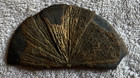 Pyrite Sun Sparkling Gold Specimen 2-sided Minerals Rocks Estate Sale Find
