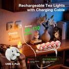 Rechargeable Flameless Candles With Remote Timer  Battery Operated Tea Lights Ca