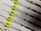  new  12- Victory Archery Vap Tko Elite 300 Carbon Dip crested Arrows