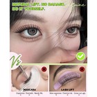 Zegaine Natural Eyelash Clusters  Idol Set