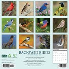 Backyard Birds 2026 12  X 12  Wall Calendar  free Shipping 