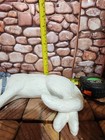 Side Sleeping Kitten Cat White With Blue Ribbon Colar Ceramic  10  Long