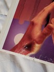Vintage 1994 Stone Temple Pilots Stp Licensed Poster Giant 