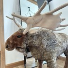 Melissa   Doug Giant Plush Standing Moose - 40       30       12    Realistic Toy Read