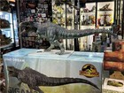 Dino Dream Giganotosaurus 1 30 Scale Jurassic World Limited Dinosaur Model