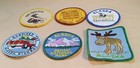 Alaska Patches  Set Of 6  Different Designs   Sizes