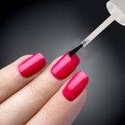  8 Pcs Empty Bottle Of Nail Polish With Brush Small Bottles For Oil