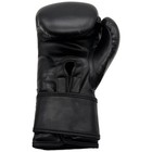 Black 12-oz Boxing Gloves Training Sparring Heavy Bag Hook And Loop Closure