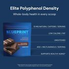 Blueprint Bryan Johnson Non Dairy Cocoa Powder - 7 5  Flavanols  100  Pure Cocoa