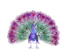 3    Twinkling Peacock Led Decor Holiday Living Light Up Tinsel Christmas Yard Art