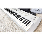 Korg Triton Le 61-key Music Workstation Synthesizer W  Soft Case   Power Cord