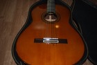 Yamaha G 240 Acoustic Guitar With Soft Shell Case