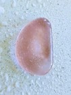 Sea Glass   Large Berry Pink Partial Bottle Bottom                        