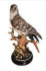 Bhe Collections Red Tailed Hawk  Perched On Branches And Leaves 15 In X 10 In