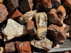      rr        Wholesale  Colorful 33 Lbs Arizona Rainbow Petrified Wood      