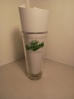 Rare 98  Bennigan   s Grill   Tavern Irish American True Pint Glass Anchor Hocking