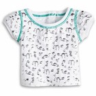 New Authentic American Girl Mix   Match Jeggings  Skirt  Cat Tee   Shoes  1102 