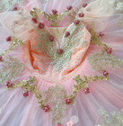 Professional Ballet Pink Peach Classical Pancake Ballet Platter Tutu Costumes