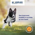 Movoflex Advanced Soft Chews Joint Support - Large Dogs Over 60 Lbs  60 Count