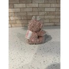 Disneyland Shelliemay Plush Tokyo