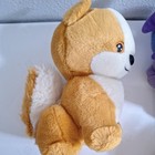 Neopets Maraquan  Chomby  Faerie Kougra  island Kacheek  Doglefox Petpet 