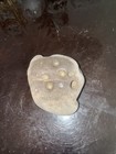 Rocks For Sale 3 Lbs Multi Hole Hag Stone Big Sale See Listings   