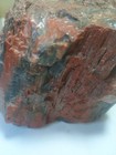 Arizona Stunning Red 2 6lb 4 x4  Petrified Wood  