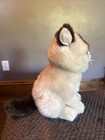 Gund Grumpy Cat Plush Stuffed Animal 10    Toy