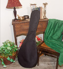 Roosebeck Lute-guitar  6 String  Variegated  Gears