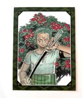 One Piece Zoro Promo Card Novel Zoro Jump Books Japanese First Edition