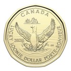 2026 Canada Lucky Loonie 1 Dollar Coin Ltd Edition