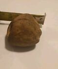 Rare Ancient Native American Hag Stone Pacific Northwest Beach Healing Protect 