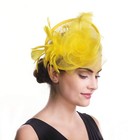 Saferin Fascinator Hair Clip Bowler Feather Flower Veil Wedding Hat Yellow