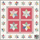 Quilt Kit Pot Luck Stars   Keepsake Box Star Quilt Block Rulers Included