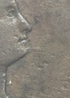1804 1 2c Draped Bust Half Cent    Spike Chin    Aeh38995