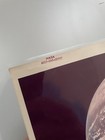 Blue Marble Vintage Nasa Apollo 17 Photograph As17-148-22727 Kodak Red Number