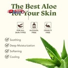 Green Leaf Naturals Aloe Vera Gel  After Sun Care For Face  Skin   Hair  Cold Pr
