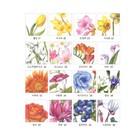 korea Coloring Book  Botanical Art Coloring Book