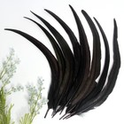 50pcs Rooster Coque Tail Feathers Bulk Natural 12-14inch 30-35cm For Crafting We