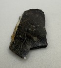 Nwa 11182  Moon lunar Meteorite Slice  Moon Meteorite  Astronomy Gift  4 95g