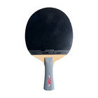   dhs Sports Usa  Type Iii Table Tennis Racket Set Two Paddle 1 Ball Shakehand