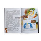 Stamps Ukraine  book With Stamps  postage Stamps Of Ukraine 2024 