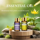 15x 5ml Essential Oil Set Aromatherapy Gift Kit Set Pure Oils For Humidifier